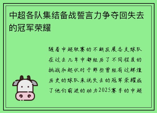 中超各队集结备战誓言力争夺回失去的冠军荣耀