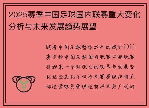 2025赛季中国足球国内联赛重大变化分析与未来发展趋势展望